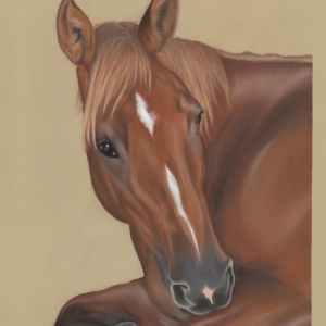 Petra's print - 8"x10" Version | USA