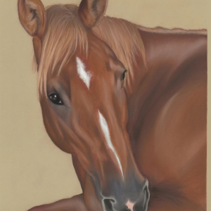 Petra's Print - A4 Version